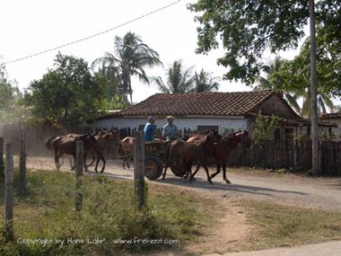 2004 Cuba, Maria la Gorda - Cayo Levisa, DSC00595 B_B720